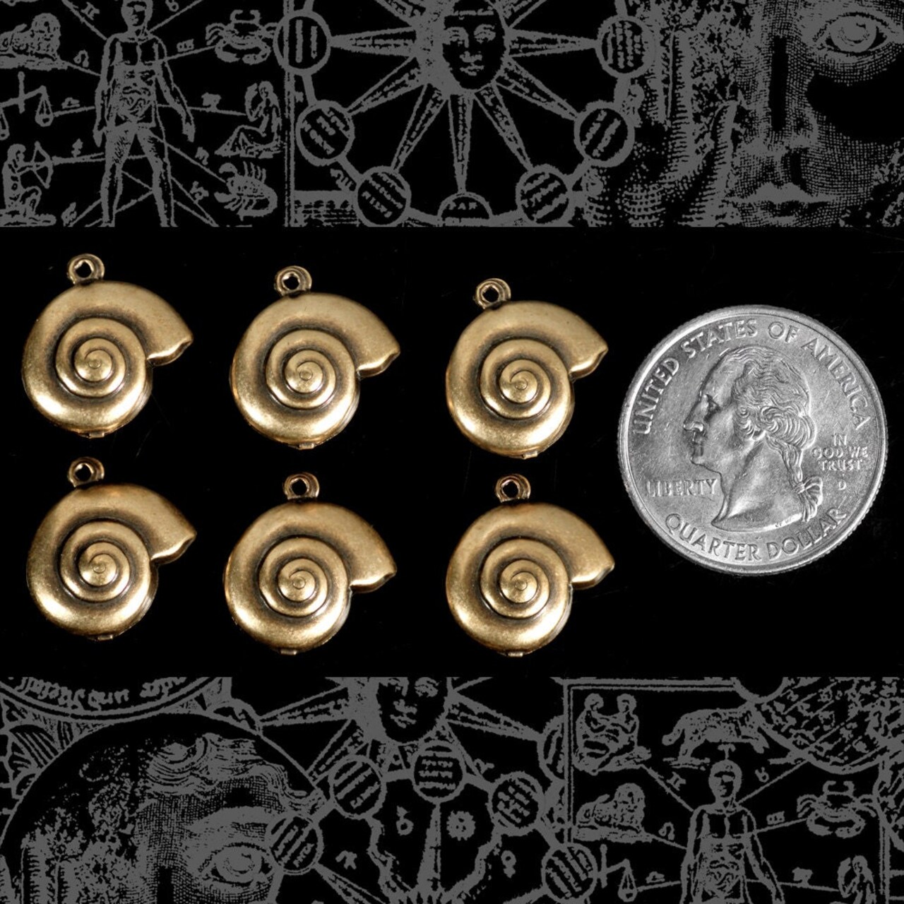 Antiqued Brass Sea Snail Two Sided Charms - Set of Six - AB-C133